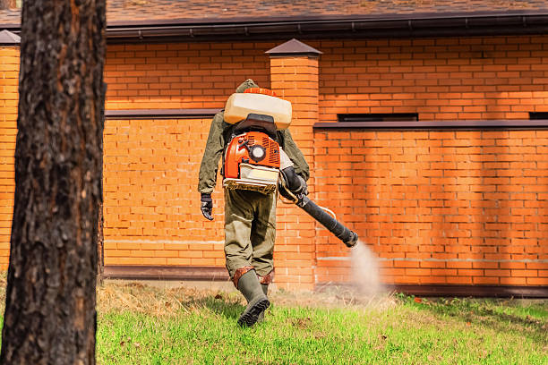 Trusted Ant Control service in Waterford, WI - Nex Pest Control